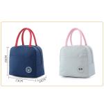 Adult Aluminium Foil 600D Polyester Insulated Lunch Cooler Bags