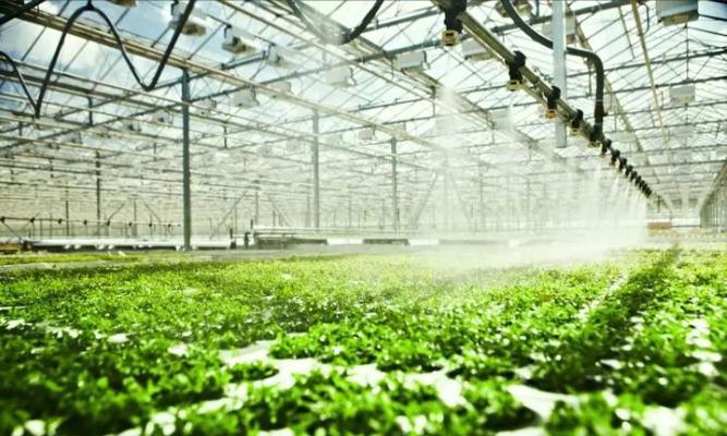 Humidity-Controlled Planting Facility by Juxiang