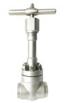 High Pressure Cryogenic Globe Valve For Liquid Gas / Cryogenic Tank / Skid