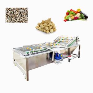 Quality Air Bubble Industrial Fruit And Vegetable Washing Machine 220/380v wholesale