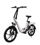 36V Electric Folding Bike 250W Rear Hub Motor Electric Bike 30-50Km/h Max Speed