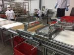 Siemens Motor 300KG/H Dog Pet Food Machine Automatically