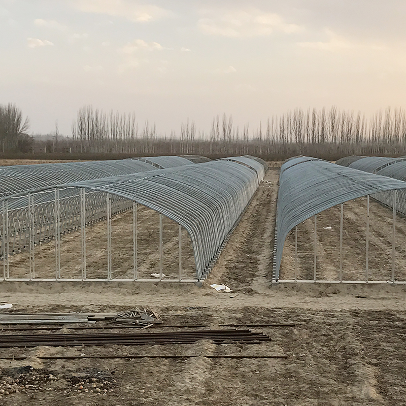 Easy To Install Agricultural Greenhouses for Growing Flowers Vegetables and Fruits
