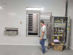 Quality 500kg/H 750kg/H Industrial Spiral Belt Freezer 145 Kw For Fruit wholesale