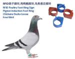 RFID Poultry Foot Ring Sign, RFID Pigeon Foot Ring, Chickens Ducks Goose