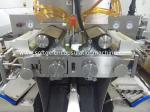 10 Inch Large Scale Medical Softgel Encapsulation Machine Plc Control