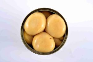 Quality Healthy Whole Canned Mushrooms Agaricus Bisporus Type Natural Raw Material wholesale