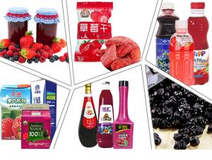 Quality Stainless Steel 304 440V 25T/H Berry Processing Equipment wholesale