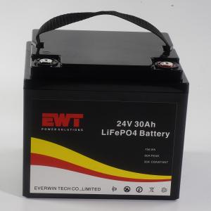 Quality Lifepo4 Portable Battery Pack 24V 30AH With Bluetooth Can wholesale