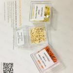 Disposable Materials Dental Matrix System Dental Kit Wooden Wedges For Teeth