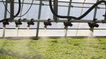 USA/Canada Steel Structure Vegetables Planting Single-Arch Greenhouse for