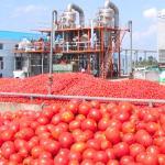Fully Enclosed Low Temperature Fruit Juice Evaporator
