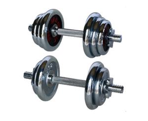 Quality Gym Parts Dumbbell Manufacturer wholesale