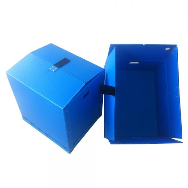 Green Polypropylene Correx Board Con Pearl PP Honeycomb Board
