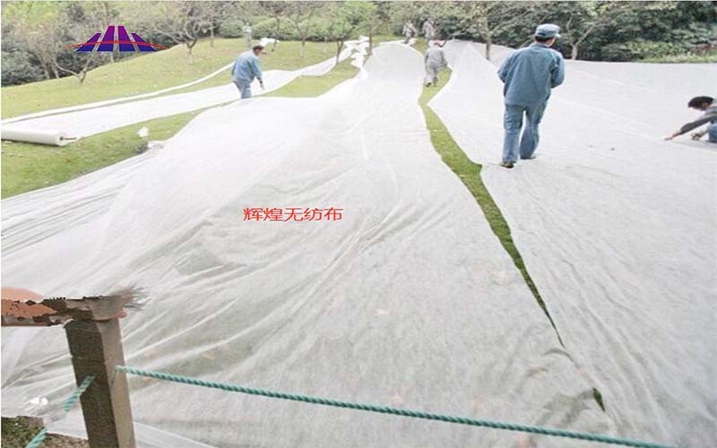 Biodegradable PP Polypropylene Spunbond Nonwoven Fabric Agricultural