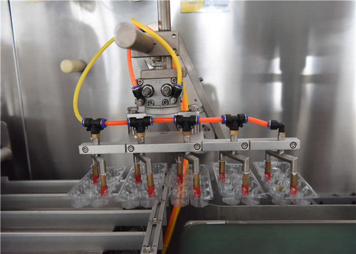 Injection Pre Filled Pharmaceutical Blister Packaging Machines For Syringe Packing