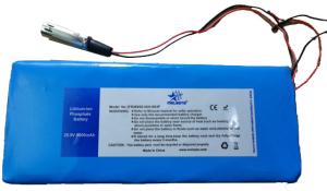 Quality 25.6V LiFePO4 Electric Vehicle Battery Pack 9000mAh, 230Wh wholesale