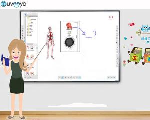 Quality Auveeya SKD Infrared Interactive Class Smart Board For Education wholesale
