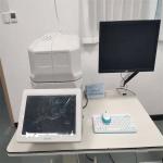 3D Optical Coherence Tomography Equipment High Resolution