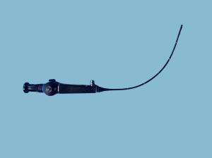 Quality ENF-GP Rhinolaryngoscope Easy Navigation High Resolution Images wholesale