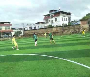 Non Reflection Football Synthetic Grass / U Shape Synthetic Lawn Grass