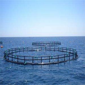 Quality Black Floating Fish Cage Circular Shape Customized Color Crack Resistance wholesale