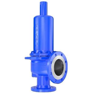 Type 442 ANSI High Performance With ANSI Flange Spring Loaded Safety Valve
