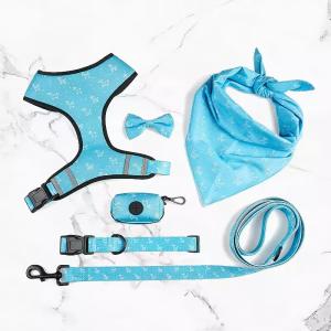 Quality Custom Reflective Comfortable Pet Harness Set Dog Leash wholesale