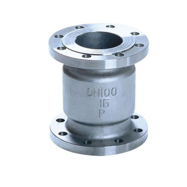 H42w-16P Stainless Steel 304 Vertical Check Valve Flange Vertical Lift type
