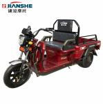 500 Watt Adults 40km/H Electric Cargo Tricycle
