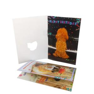Quality Portable Commercial Musical Greeting Cards Built In Push Button wholesale
