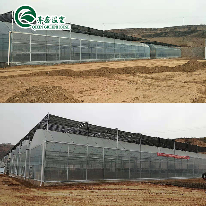 Double-Layer Hydroponic Greenhouse for Growing Tomatoes in Controlled Environment