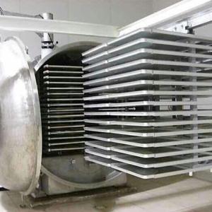 Quality Industrial Biological / Pharmaceutical Freeze Drying Machine wholesale