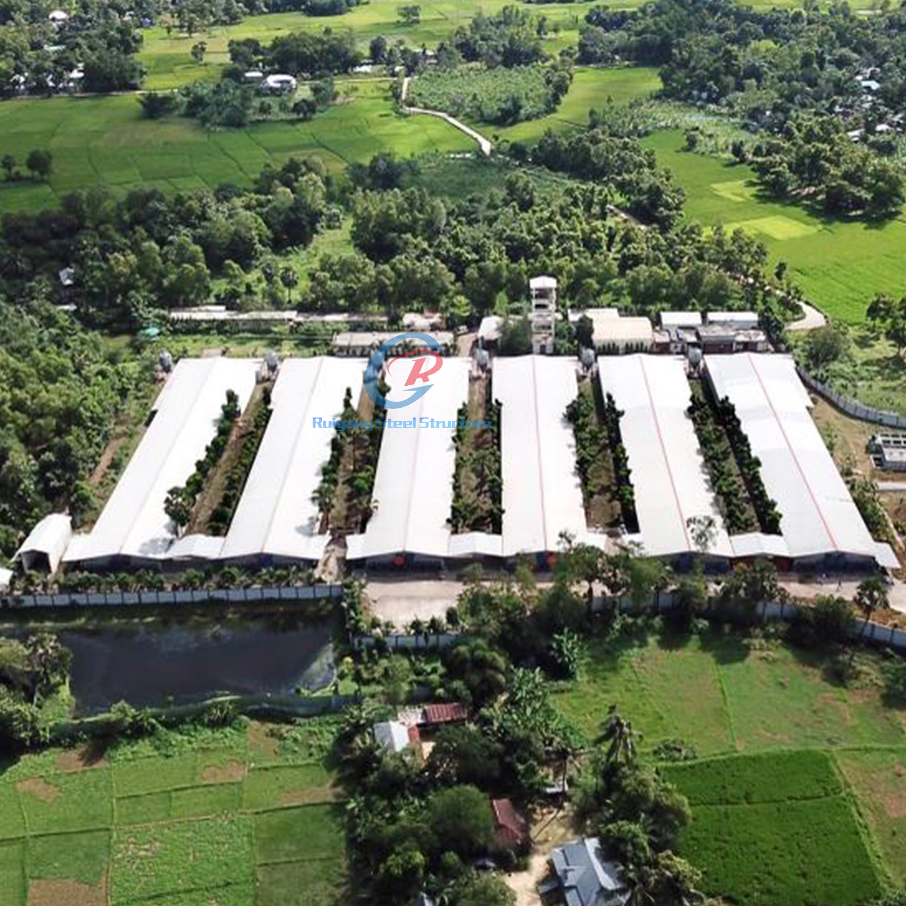 Customized Steel Structure Poultry House Fire Resistant For Dairy Farm