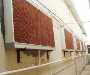 Quality Chicken house cooling pad poultry house evaporative water cooling pad wholesale
