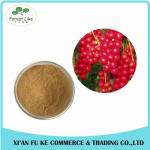 High Purity Pharmaceutical Organic Schisandra Extract Gallic Acid