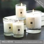Sweet Smelling Pure Soy Wax Candles , Aromatherapy Scented Candles For Beauty