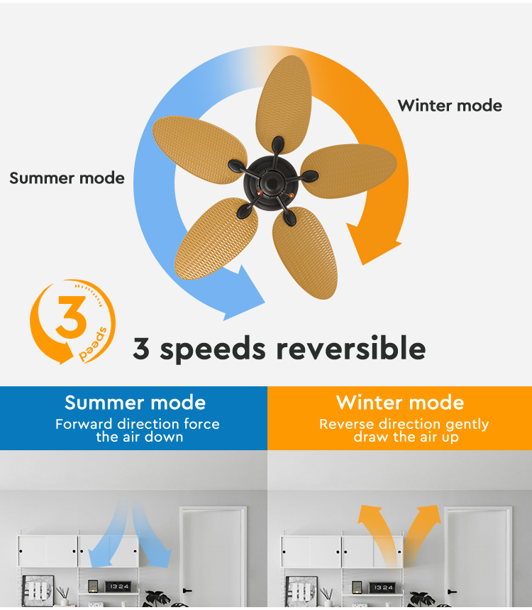 ceiling fan