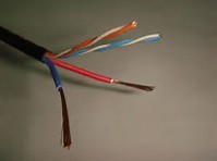 2 Twisted Pairs FTP CAT5E 24AWG Solid Copper with CCA Power for CCTV IP Camera