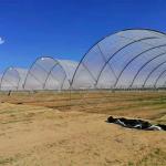 Cherry/Grape/blueberry planting shed plastic greenhouse planting high tunnel