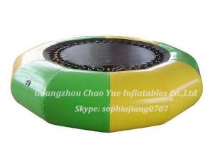 Quality 2015 Hot Sale Inflatable Water Bouncer (CY-M2012) wholesale