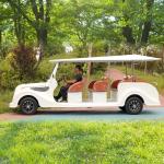 Street Legal Old Retro Golf Cart Buggy Antique Sightseeing Electric Vintage