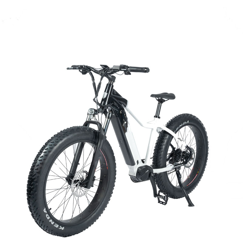 750W 1000W High Power Electric Mountain Bike with Full Suspension and Hydraulic Brake