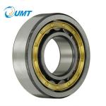 FAG brand bearing Cylindrical Roller bearing 140*210*33mm NJ1028M/P5 koyo