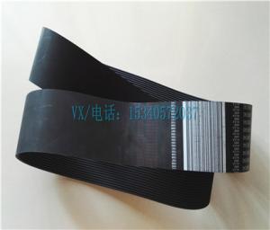 Quality Apply to Cummins Marine Diesel Engine 3100188 BELT service thoughtful wholesale