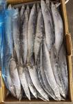 1# BQF Seafrozen Pacific Saury Fish With Bulk Packaging