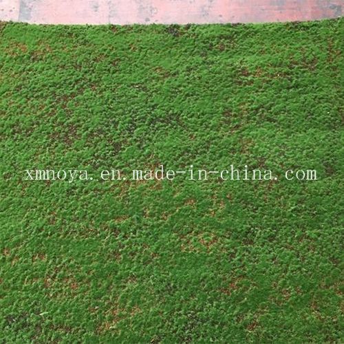 Customized Plastic Green Grass, Fake Carpet/Mat, Artificial Plants, Artificial Moss