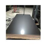 Eucalyputs Hardwood Rectangle 25mm Film Faced Plywood