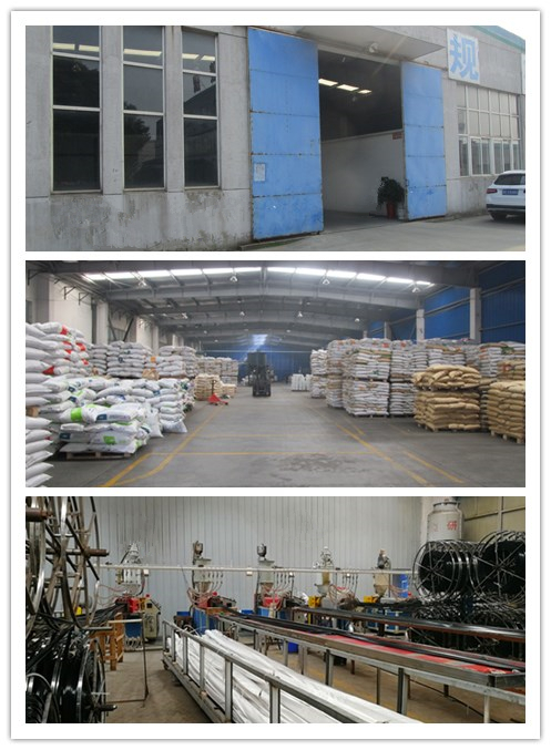 Plastic Machinery High Extruding Speed PA Strip Extruder Production Line Polyamide Extrusion Machine