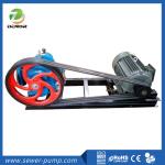 1-8m3/H LC High Viscosity Roots Pump Stainless Steel Material